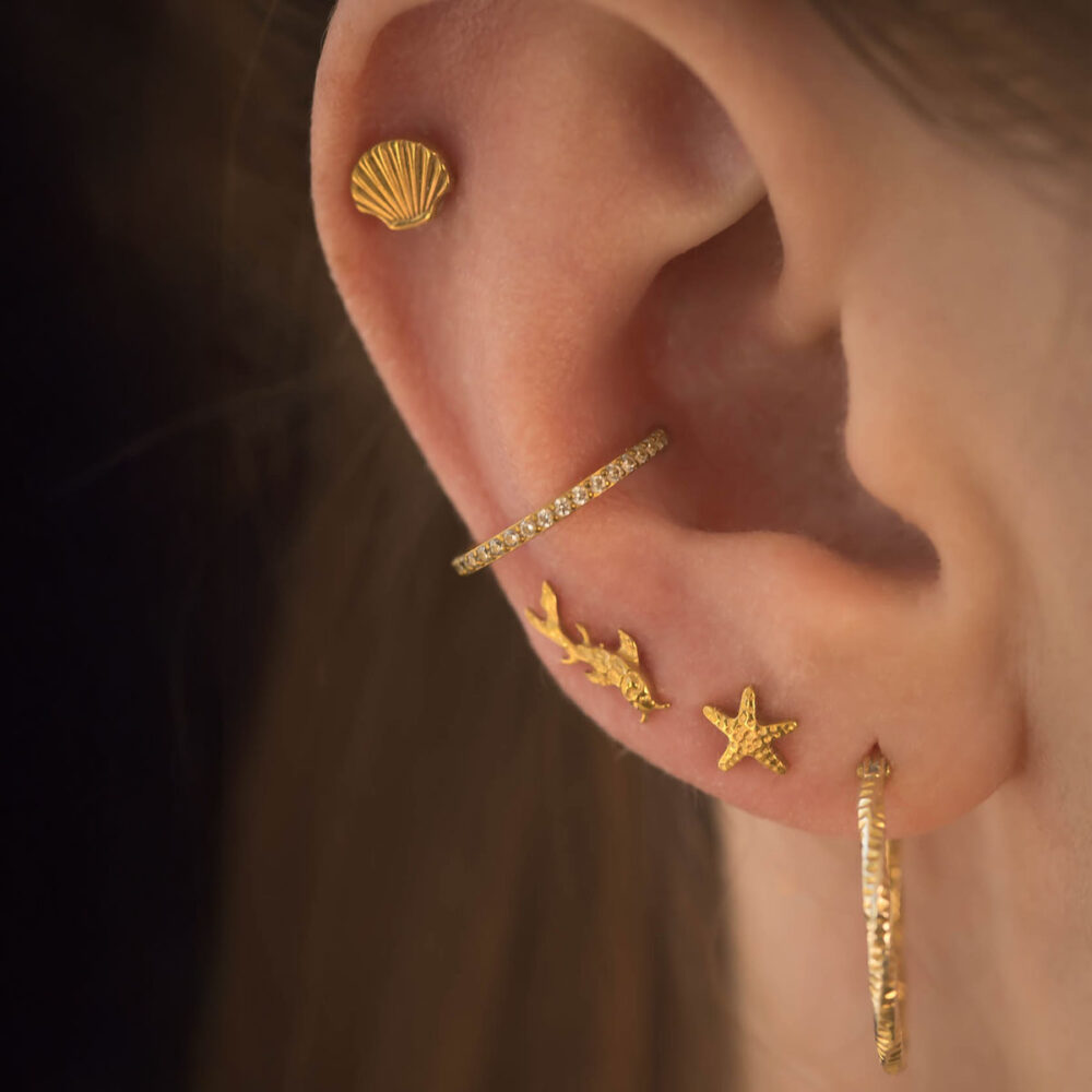 Labret rybka koi złoty - obrazek 2
